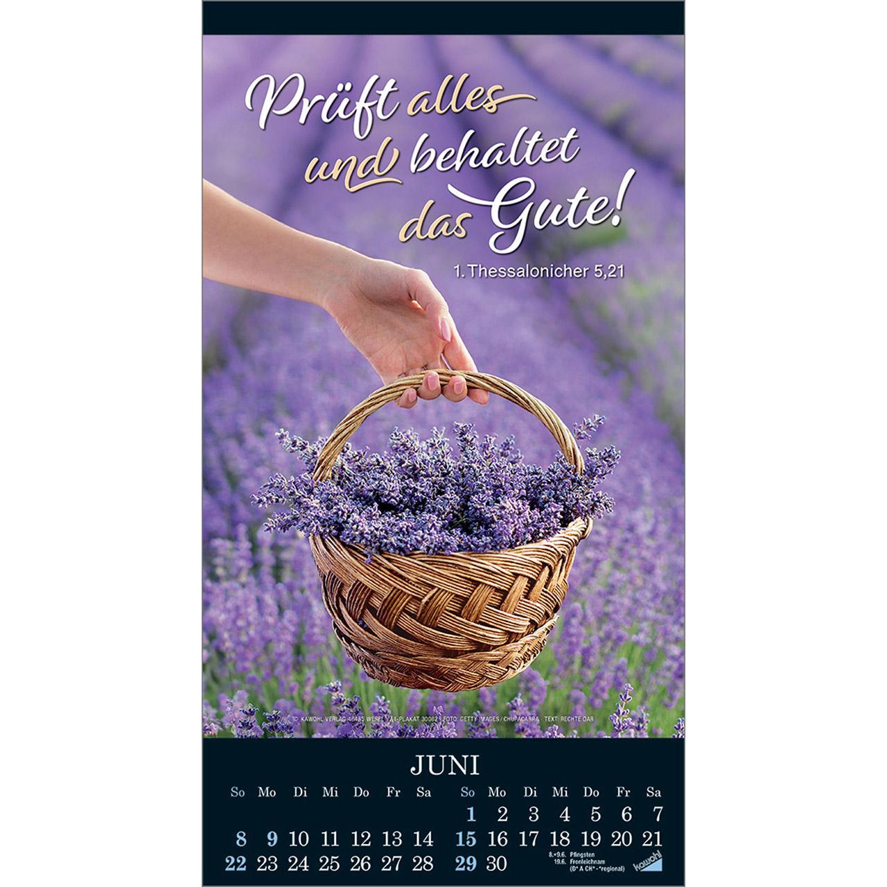 Bild: 9783754855058 | Die Wunder deiner Werke 2025 | Besinnungskalender | Kalender | 14 S.