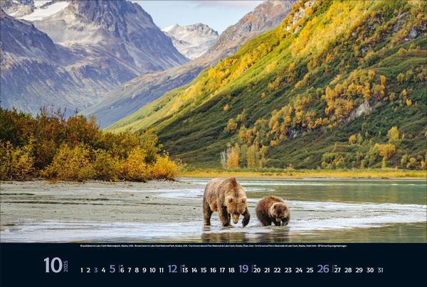 Bild: 9783731880073 | Wilde Tiere - weite Landschaft 2025 | Verlag Korsch | Kalender | 14 S.