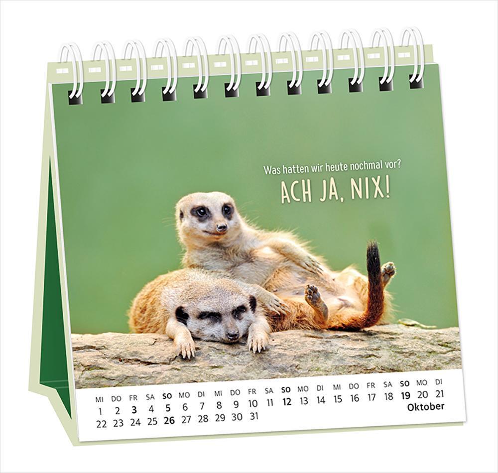 Bild: 9783986360948 | Tischkalender 2025 Happymacher | Tischkalender | Original | Kalender