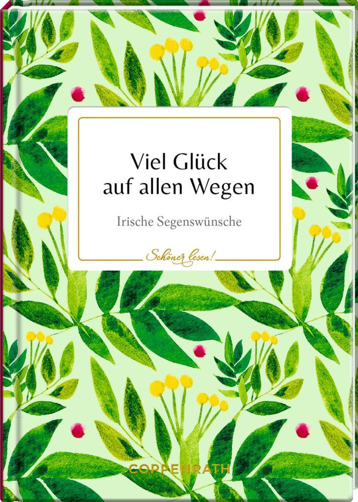 Cover: 9783649638247 | Viel Glück auf allen Wegen | Irische Segenswünsche | Kristina Labs