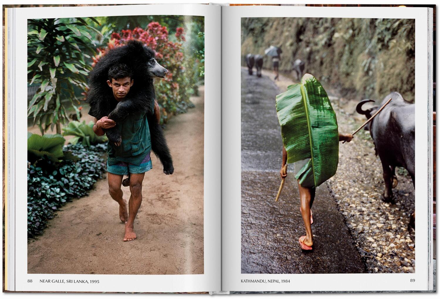 Bild: 9783836597036 | Steve McCurry. Animals | Reuel Golden | Buch | 192 S. | Englisch