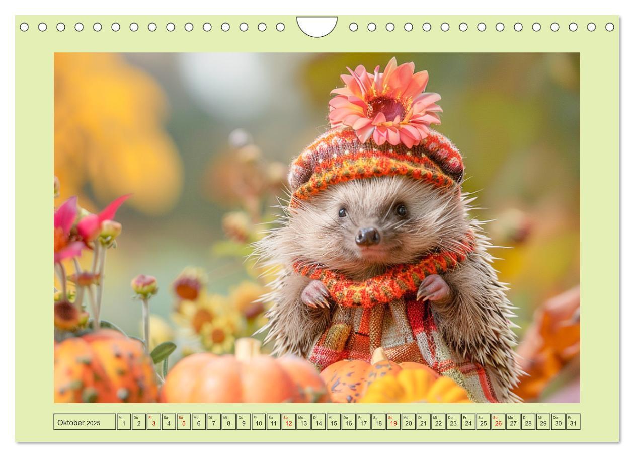 Bild: 9783435639939 | Zauberhafte Igel-Models. Blumiger Stil in der Natur (Wandkalender...