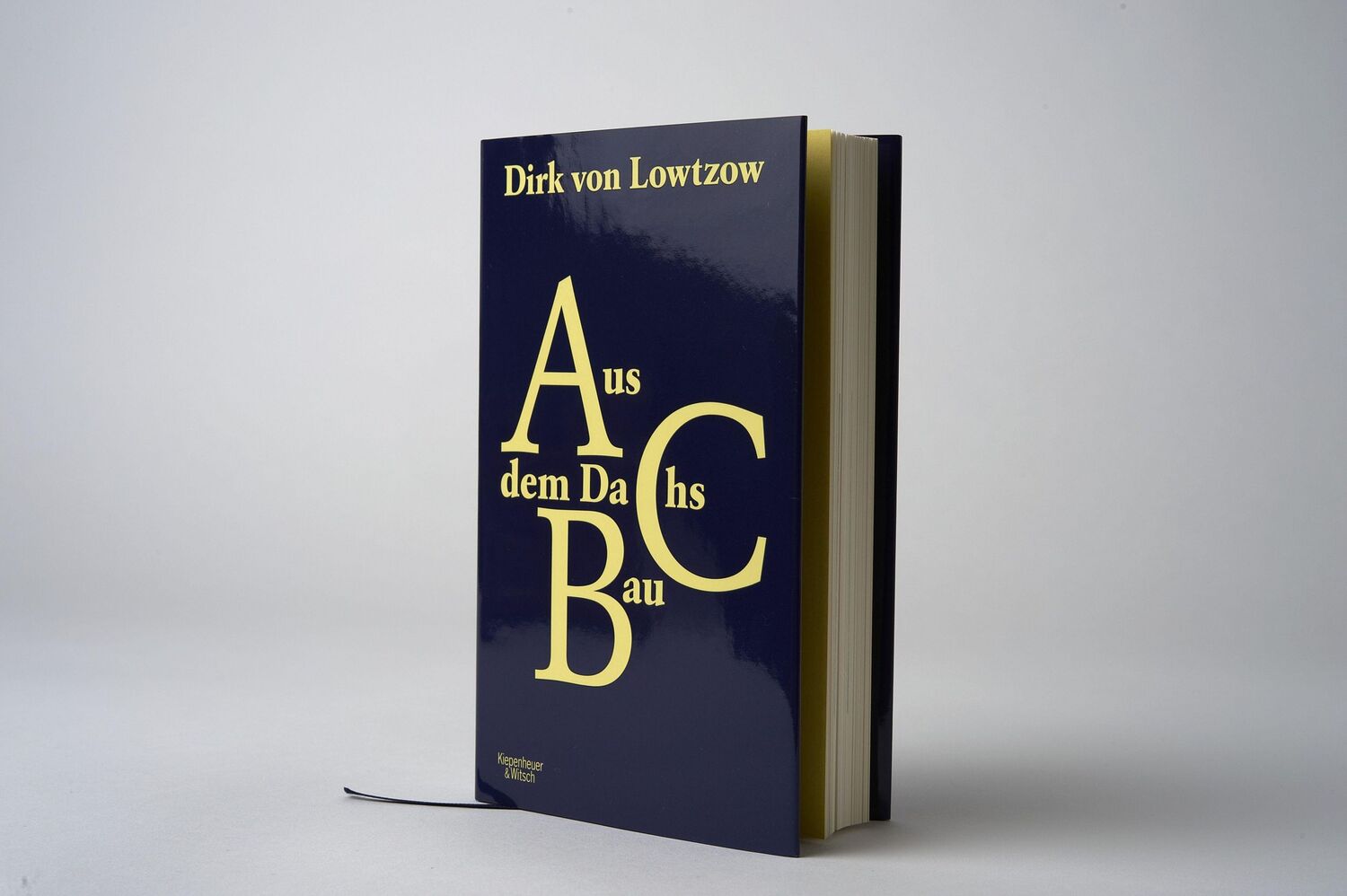 Bild: 9783462050790 | Aus dem Dachsbau | Dirk von Lowtzow | Buch | 180 S. | Deutsch | 2019