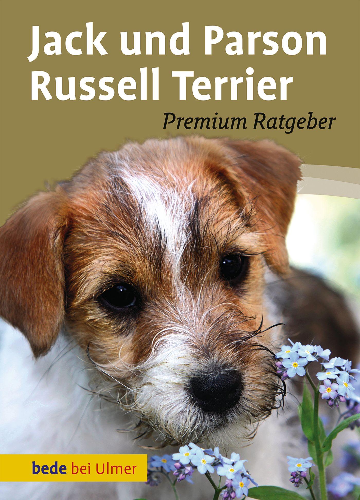 Cover: 9783800167357 | Jack und Parson Russell Terrier | Annette Schmitt | Buch | 128 S.