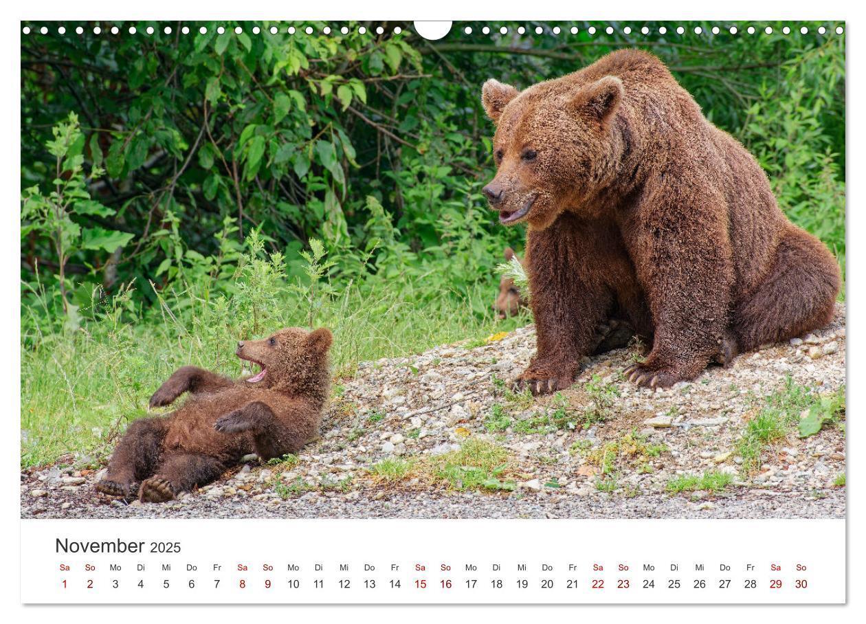 Bild: 9783383798481 | Siebenbürgen und das Fagaras Gebirge (Wandkalender 2025 DIN A3...