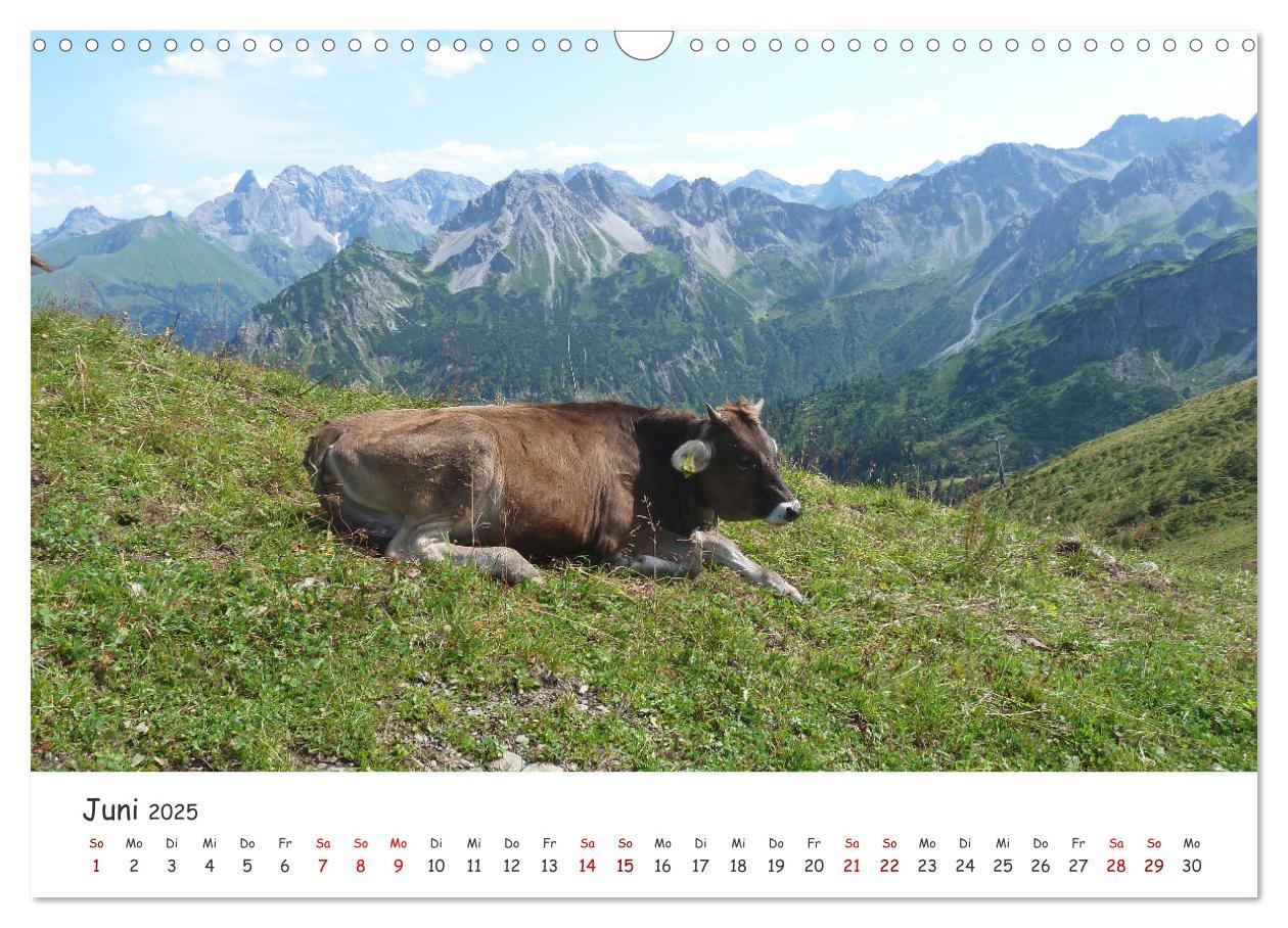 Bild: 9783383893964 | Kleinwalsertal - Das kleine Glück vor unserer Tür (Wandkalender...