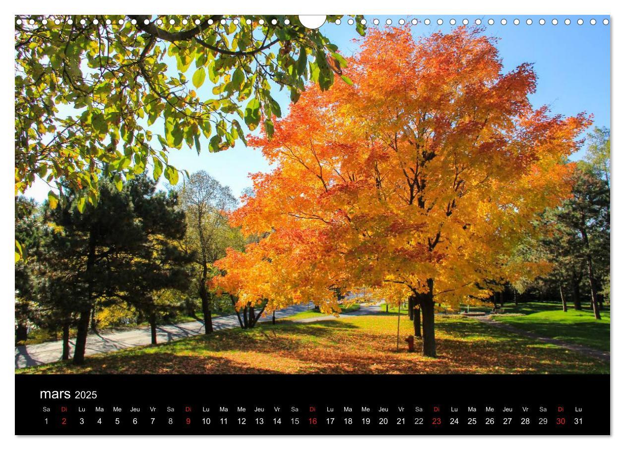 Bild: 9781325956487 | Paysages d'Automne au Québec (Calendrier mural 2025 DIN A3...