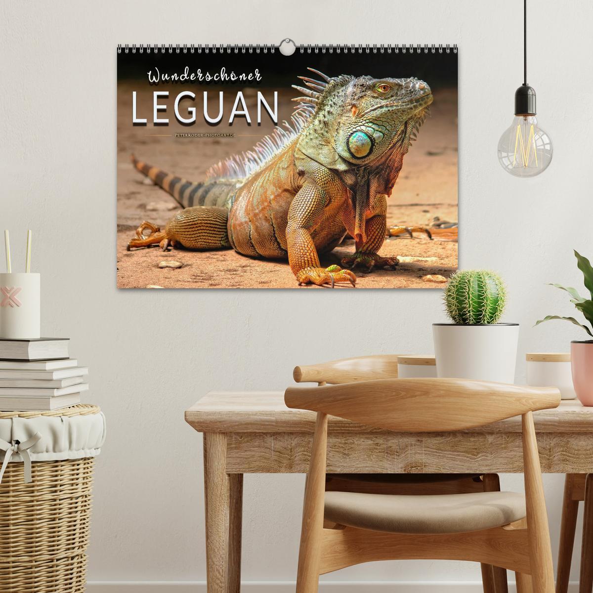 Bild: 9783435335527 | Wunderschöner Leguan (Wandkalender 2025 DIN A3 quer), CALVENDO...