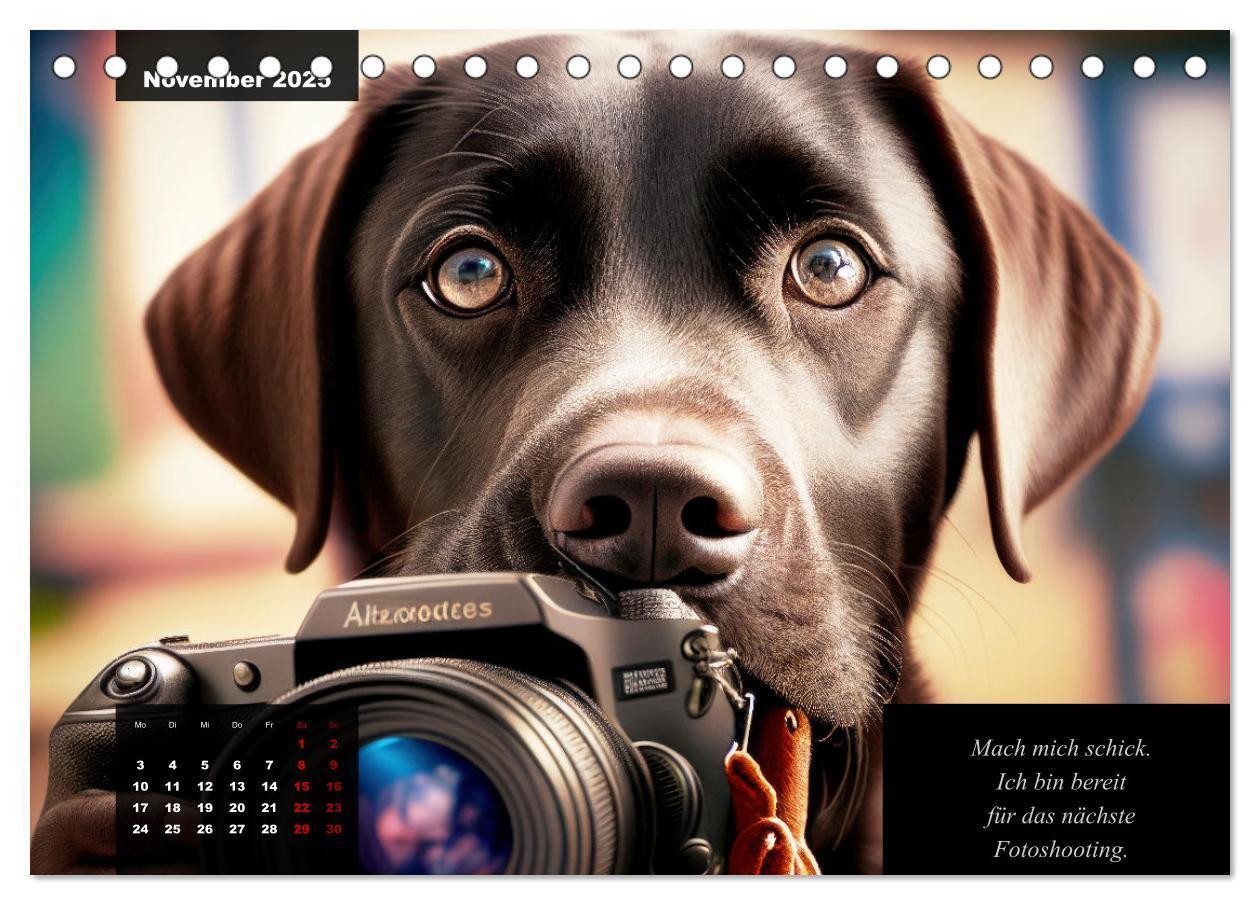 Bild: 9783435369027 | Der witzige Labrador-Kalender (Tischkalender 2025 DIN A5 quer),...