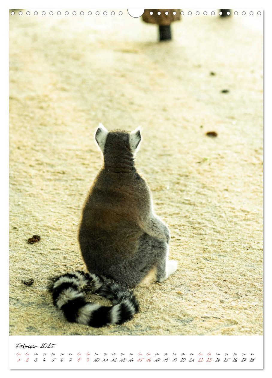 Bild: 9783435968480 | Tierwelten - aus dem ältesten Tiergarten der Welt (Wandkalender...