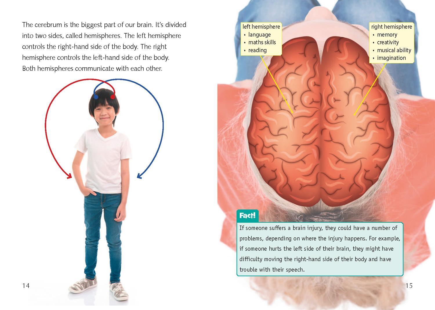 Bild: 9780008553555 | Meet Your Brain | Band 15/Emerald | Kathryn Kendall Boucher | Buch