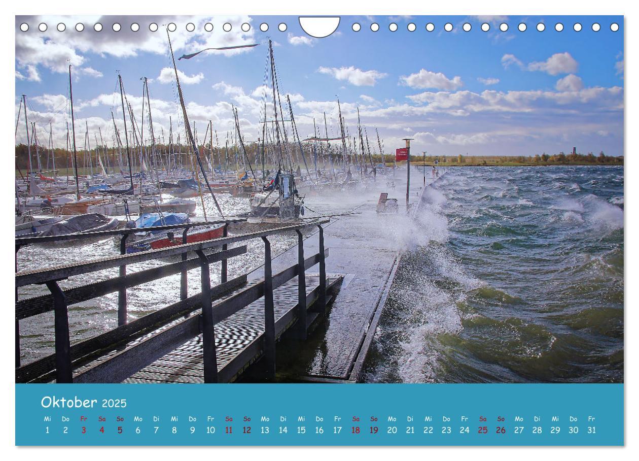 Bild: 9783383852213 | Mein Cospudener See (Wandkalender 2025 DIN A4 quer), CALVENDO...