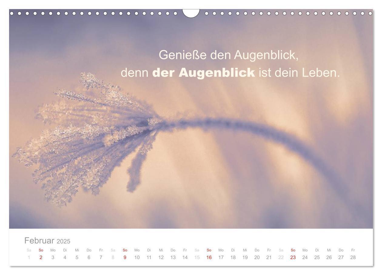 Bild: 9783435480746 | Zauberhafte Sprüche - Bunte Seelenblüten (Wandkalender 2025 DIN A3...