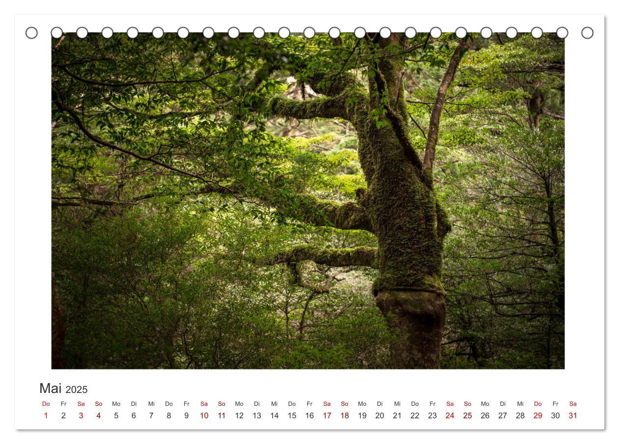 Bild: 9783435343799 | Yakushima - Japans Weltnaturerbe (Tischkalender 2025 DIN A5 quer),...