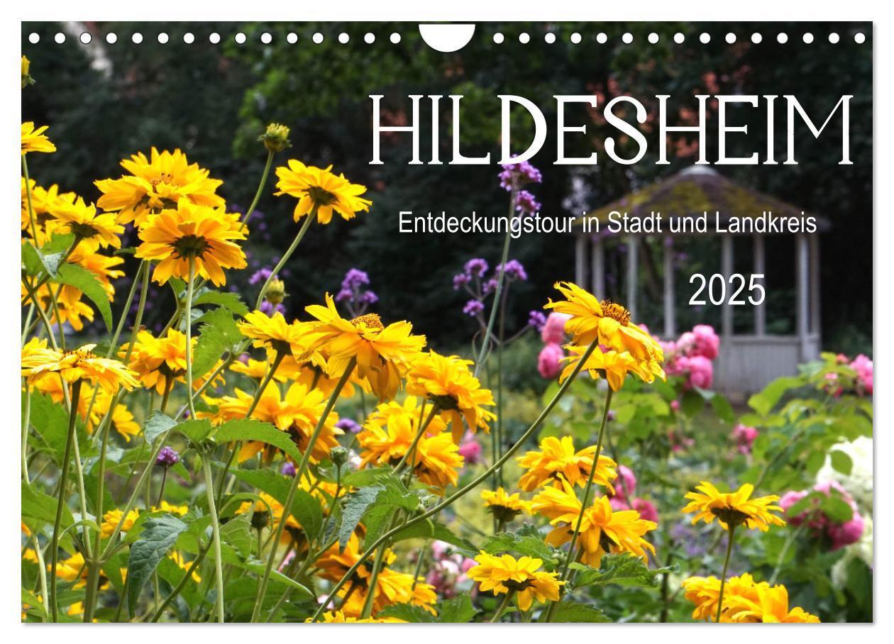 Cover: 9783435066544 | Hildesheim Entdeckungstour in Stadt und Landkreis (Wandkalender...