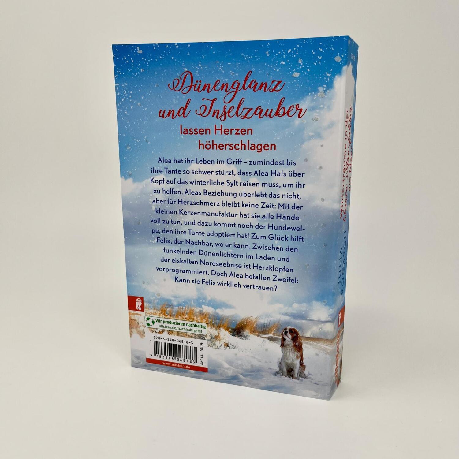 Bild: 9783548068183 | Winterträume in der kleinen Manufaktur am Meer | Julia Rogasch | Buch