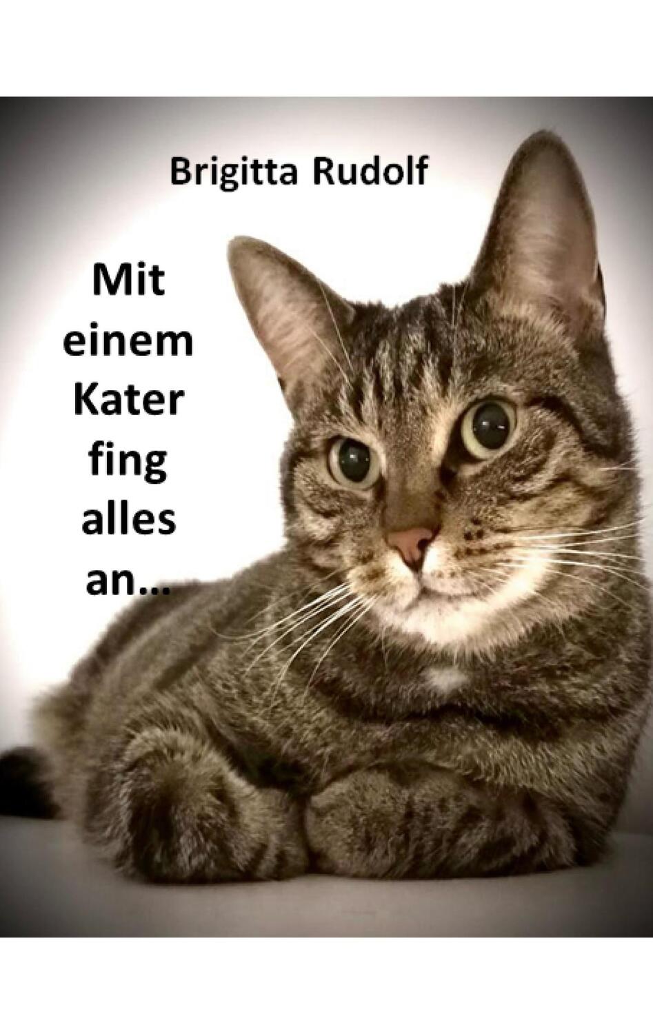 Cover: 9783759758248 | Alles fing mit einem Kater an | Brigitta Rudolf | Taschenbuch | 404 S.