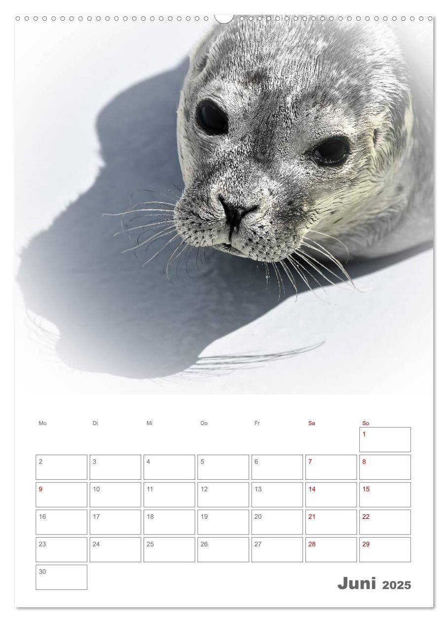 Bild: 9783435984206 | Texel - Momente die verzaubern (Wandkalender 2025 DIN A2 hoch),...