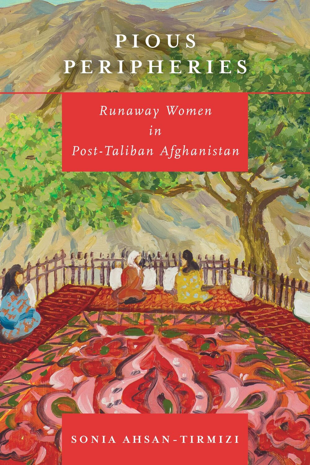 Cover: 9781503614710 | Pious Peripheries | Runaway Women in Post-Taliban Afghanistan | Buch