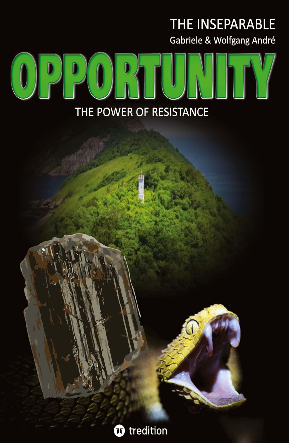 Cover: 9783347370852 | OPPORTUNITY - The power of resistance | Wolfgang André (u. a.) | Buch