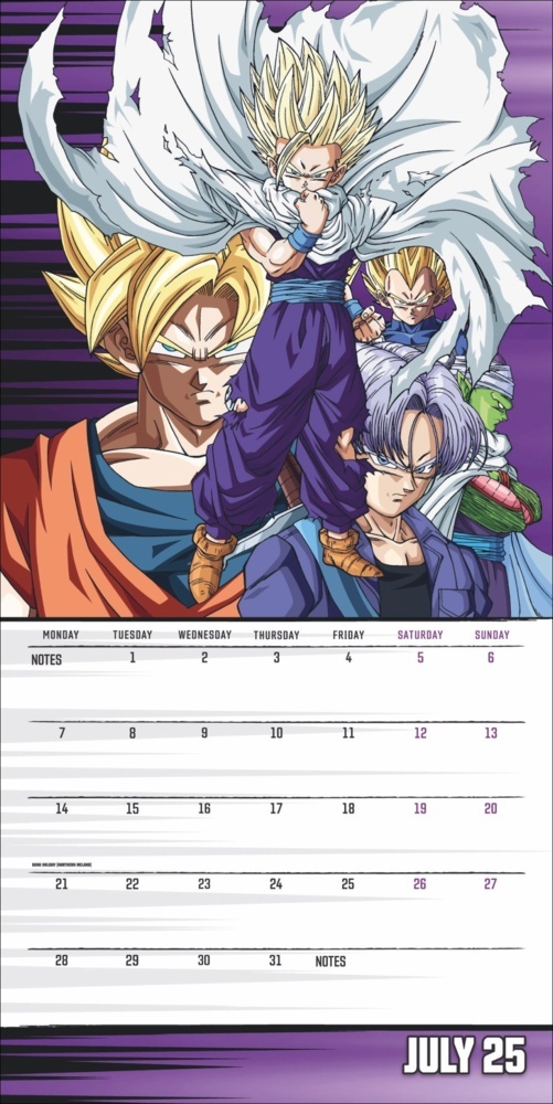 Bild: 9783840196881 | Dragon Ball Z Broschurkalender 2025 | Kalender | 28 S. | Englisch