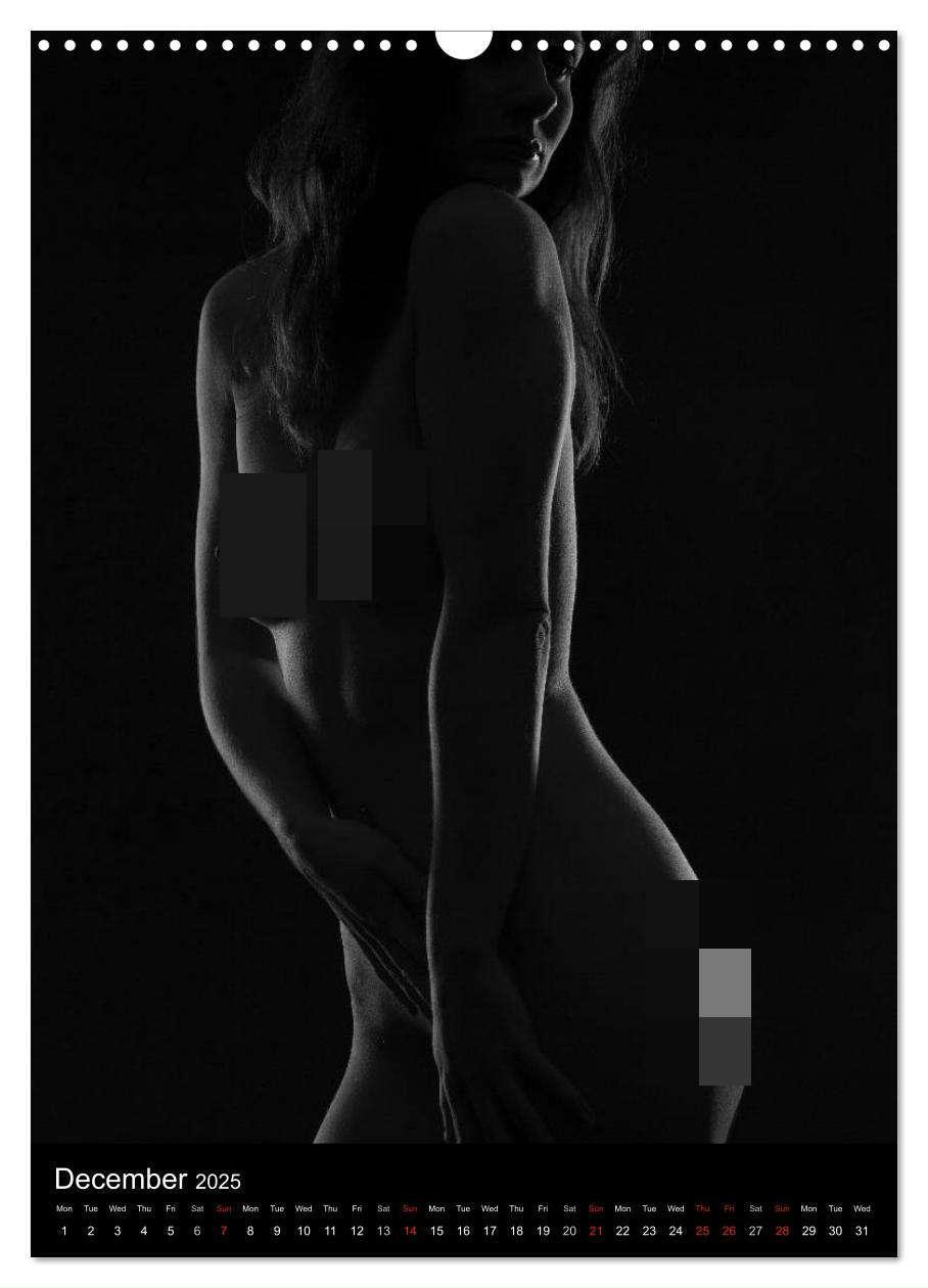 Bild: 9781325976850 | Erotic Silhouettes / UK-Version (Wall Calendar 2025 DIN A3...