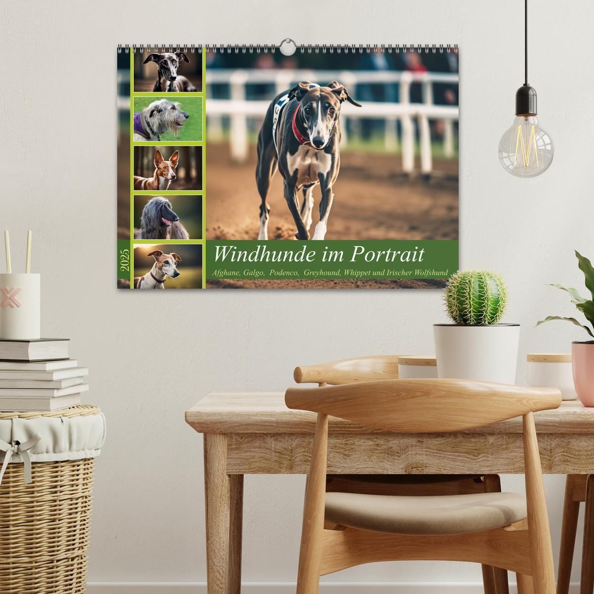 Bild: 9783457162095 | Windhunde im Portrait (Wandkalender 2025 DIN A3 quer), CALVENDO...