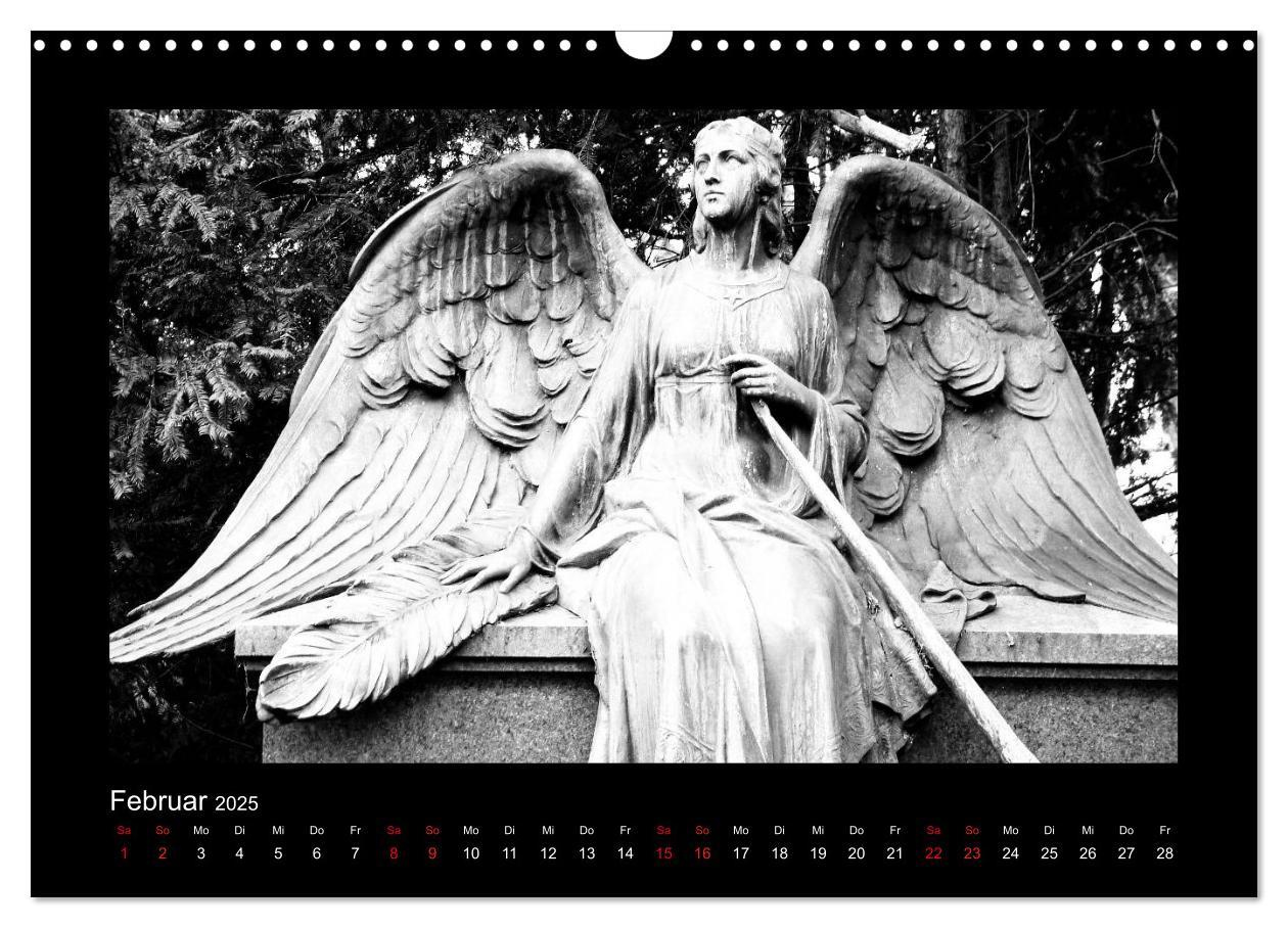 Bild: 9783435751327 | Die Engel von Melaten (Wandkalender 2025 DIN A3 quer), CALVENDO...