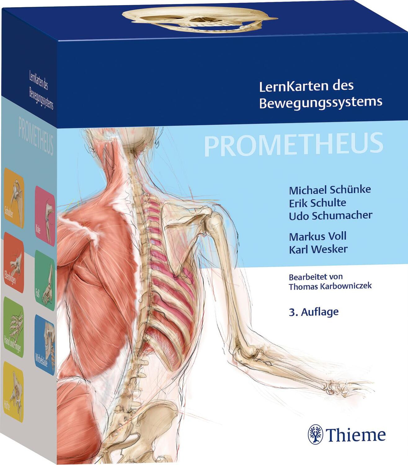 Cover: 9783132457850 | PROMETHEUS LernKarten des Bewegungssystems | Taschenbuch | 400 S.