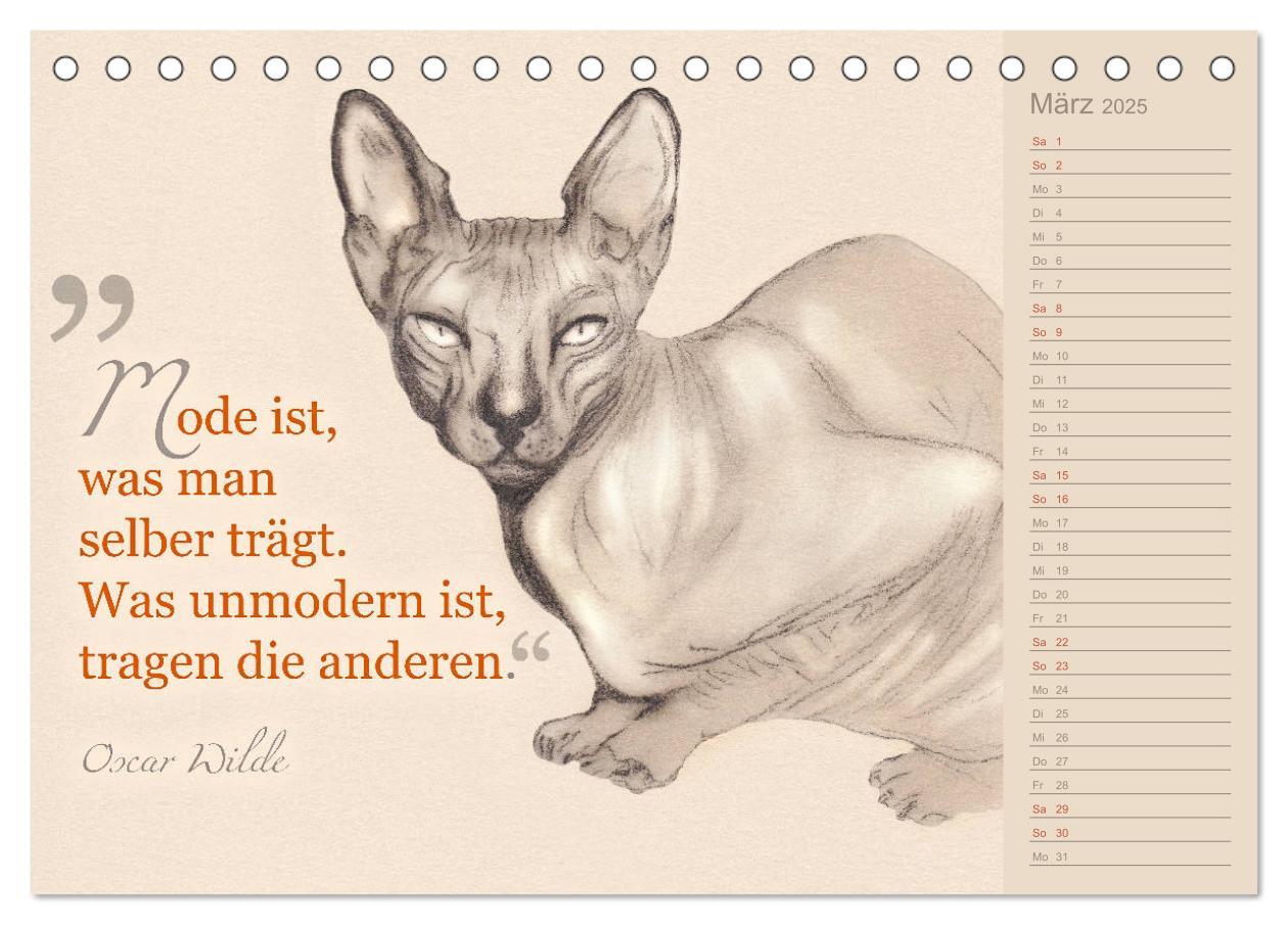 Bild: 9783435454396 | Von Katzen lernen (Tischkalender 2025 DIN A5 quer), CALVENDO...