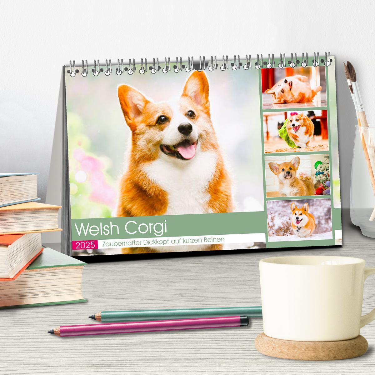 Bild: 9783435019502 | Welsh Corgi. Zauberhafter Dickkopf auf kurzen Beinen (Tischkalender...