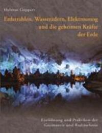 Cover: 9783833416804 | Erdstrahlen, Wasseradern, Elektrosmog und die geheimen Kräfte der Erde