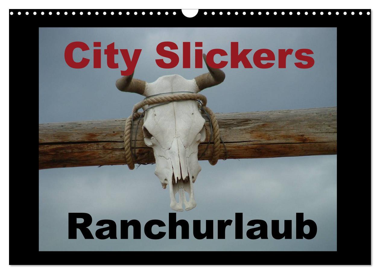 Cover: 9783435630394 | City Slickers - Ranchurlaub (Wandkalender 2025 DIN A3 quer),...