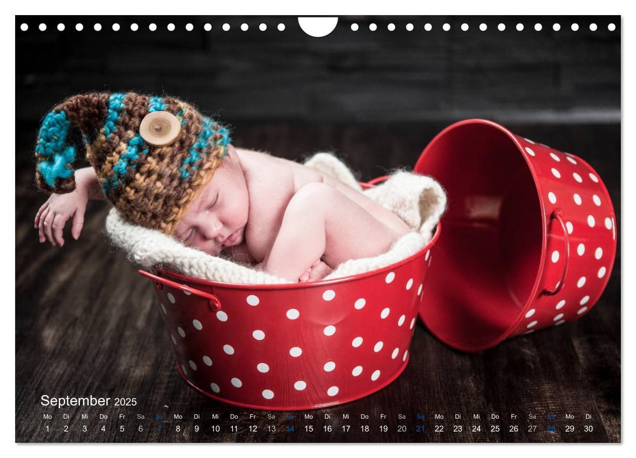 Bild: 9783435645534 | Baby - süße Träume (Wandkalender 2025 DIN A4 quer), CALVENDO...