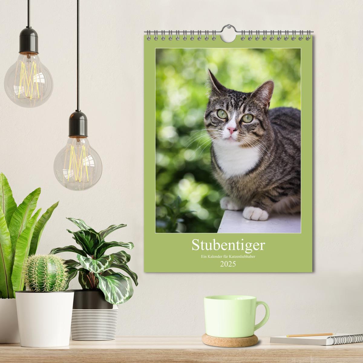 Bild: 9783457070017 | Stubentiger (Wandkalender 2025 DIN A4 hoch), CALVENDO Monatskalender