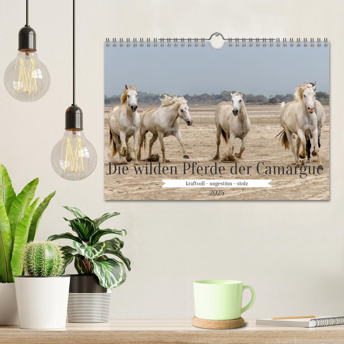 Bild: 9783383828287 | Die wilden Pferde der Camargue (Wandkalender 2025 DIN A4 quer),...