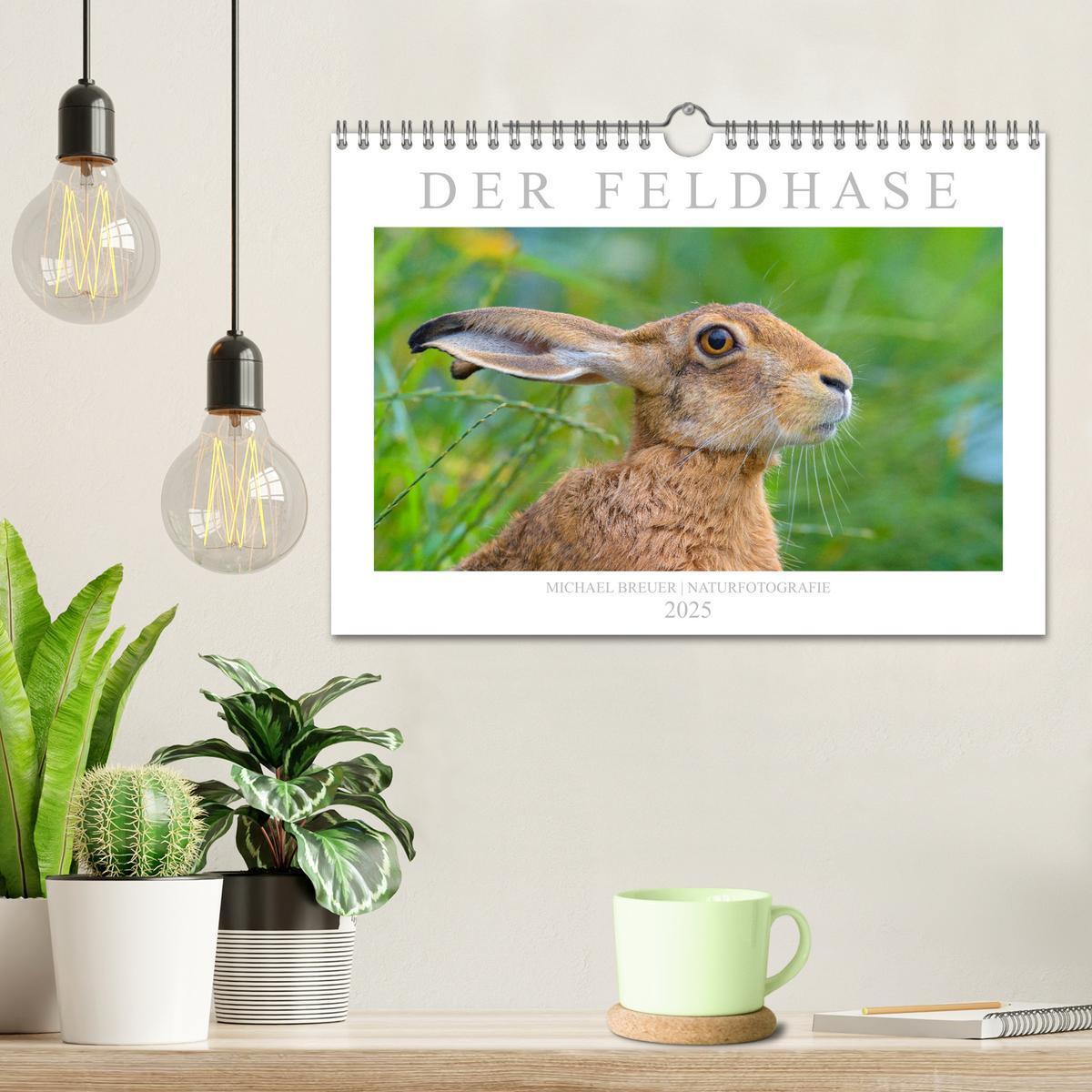 Bild: 9783435191130 | Der Feldhase (Wandkalender 2025 DIN A4 quer), CALVENDO Monatskalender