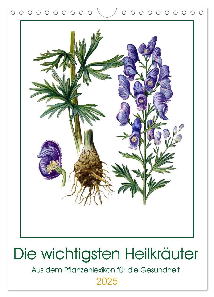 Cover: 9783435923069 | Die wichtigsten Heilkräuter (Wandkalender 2025 DIN A4 hoch),...