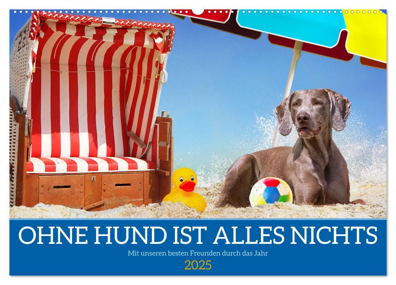 Cover: 9783383986710 | Ohne Hund ist alles nichts - Mit unseren besten Freunden durch das...