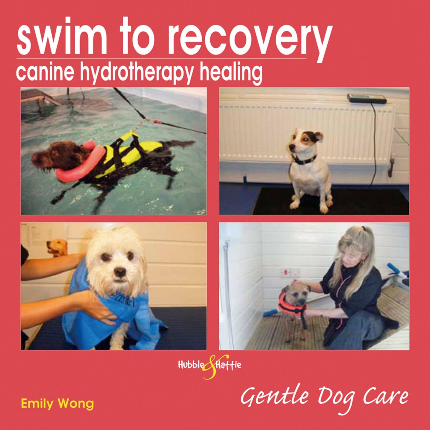 Cover: 9781845843410 | Swim to Recovery: Canine Hydrotherapy Healing | Emily Wong | Buch