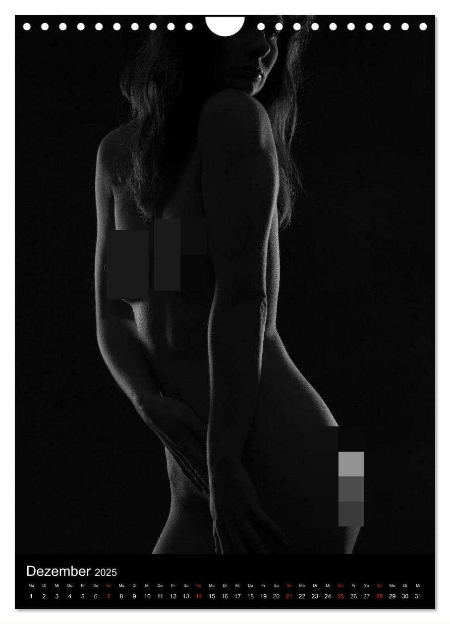 Bild: 9783457081389 | Erotische Silhouetten / CH-Version (Wandkalender 2025 DIN A4 hoch),...