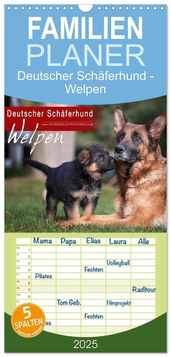 Cover: 9783457118917 | Familienplaner 2025 - Deutscher Schäferhund - Welpen mit 5 Spalten...