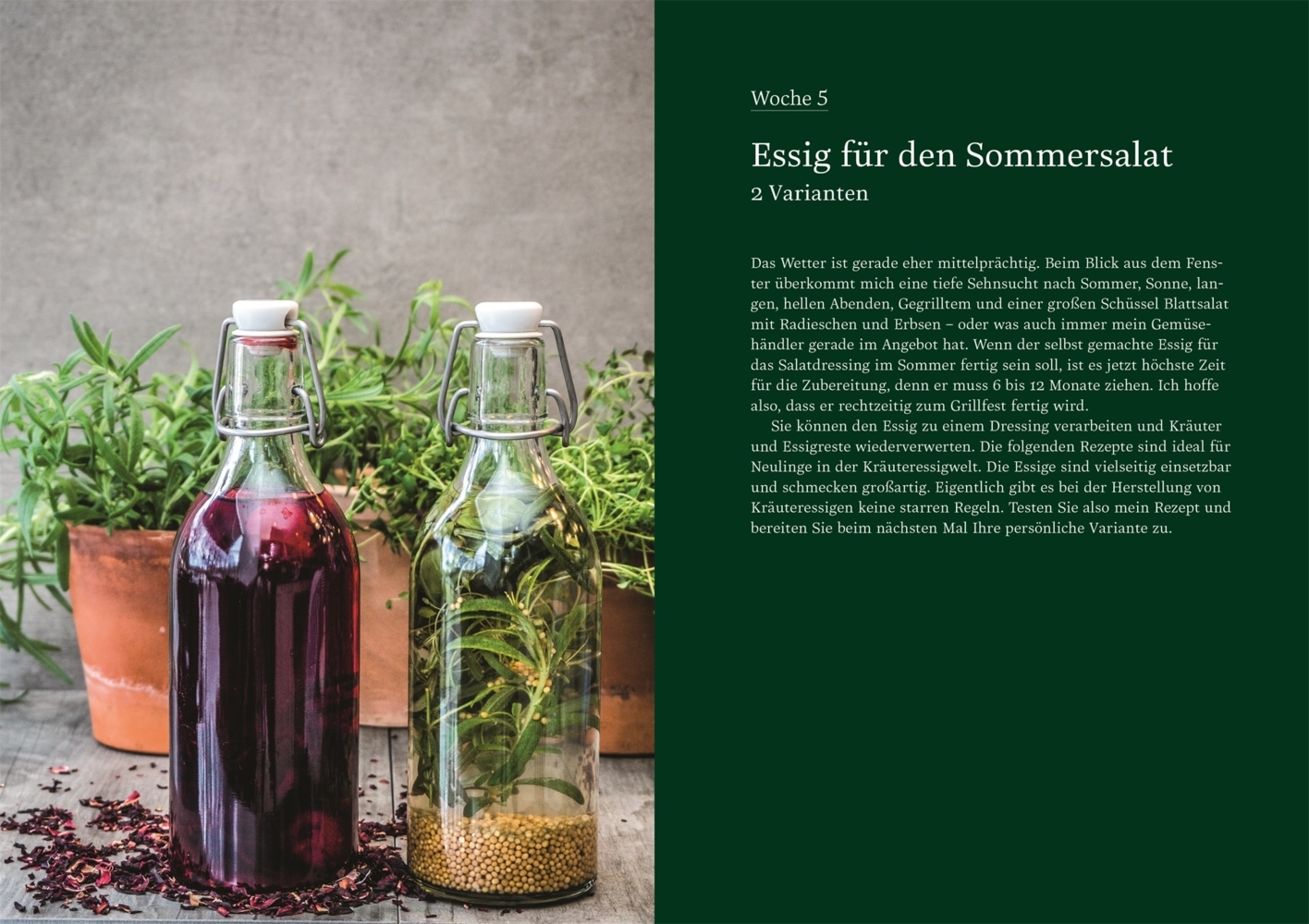 Bild: 9783831046355 | Das ganze Jahr im Glas | Einfach einmachen: 52 Rezepte | Nabulsi