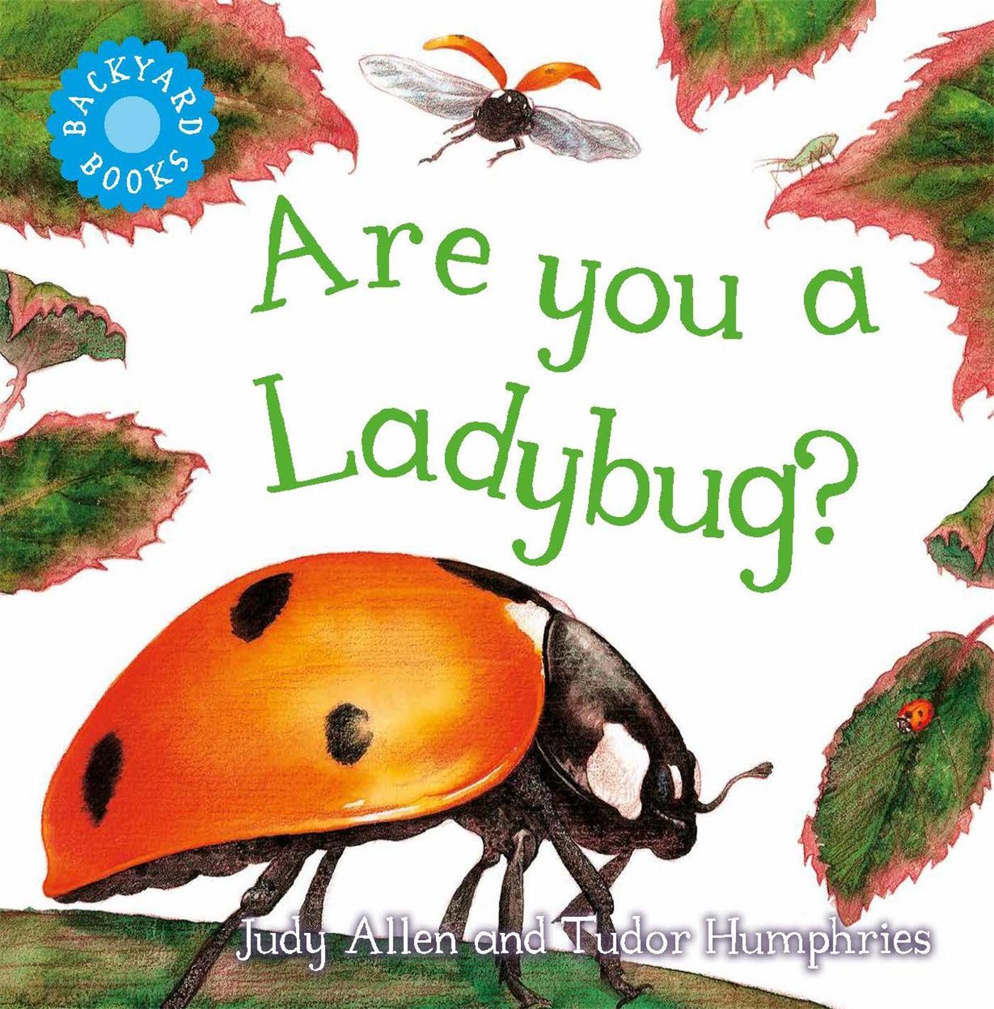 Cover: 9780753456033 | Are You a Ladybug? | Judy Allen | Taschenbuch | Englisch | 2003