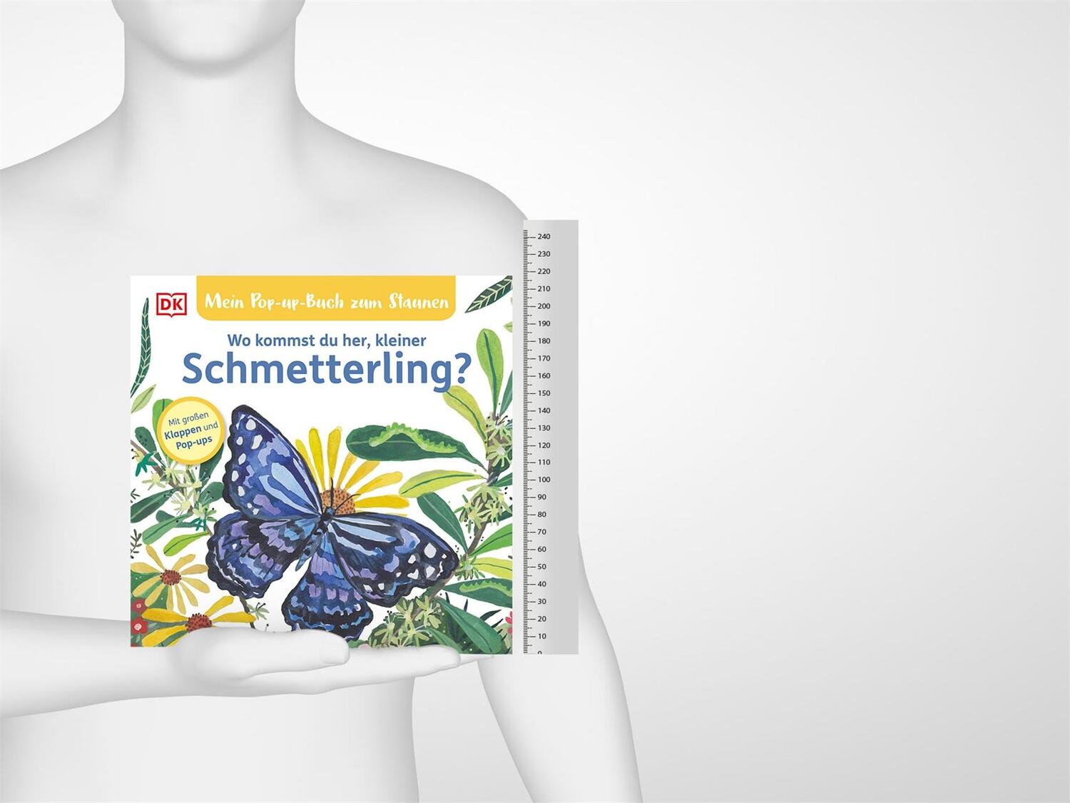 Bild: 9783831046621 | Mein Pop-up-Buch zum Staunen. Wo kommst du her, kleiner Schmetterling?