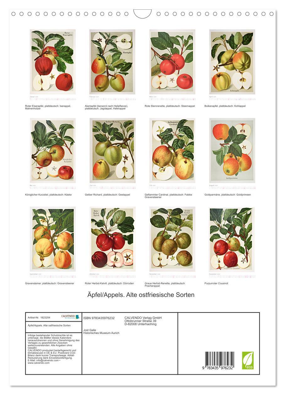 Bild: 9783435976232 | Äpfel/Appels. Alte ostfriesische Sorten (Wandkalender 2025 DIN A3...