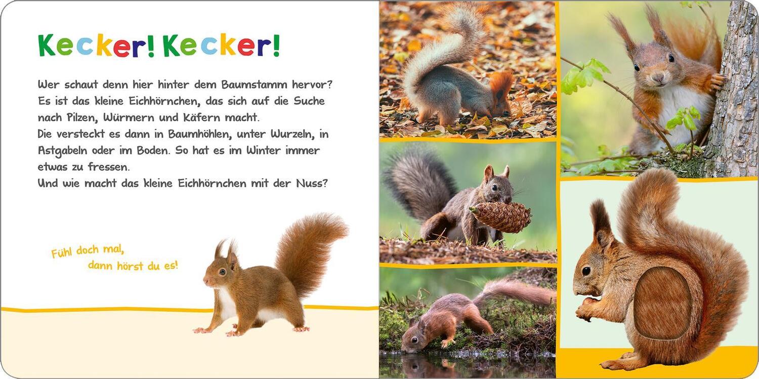 Bild: 9783845853581 | Hör mal rein, wer kann das sein? - Tiere im Herbst | Buch | 12 S.