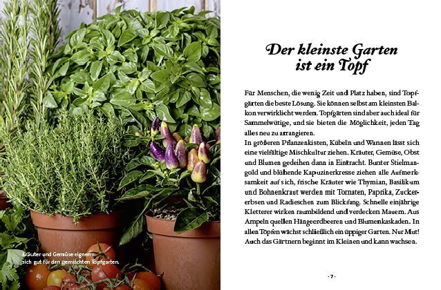 Bild: 9783710402081 | Das kleine Buch: Topfgärtner | Der eigene Garten auf kleinem Raum