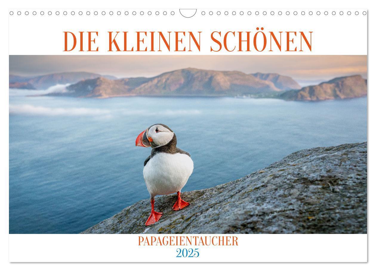 Cover: 9783383873447 | Die kleinen schönen (Wandkalender 2025 DIN A3 quer), CALVENDO...