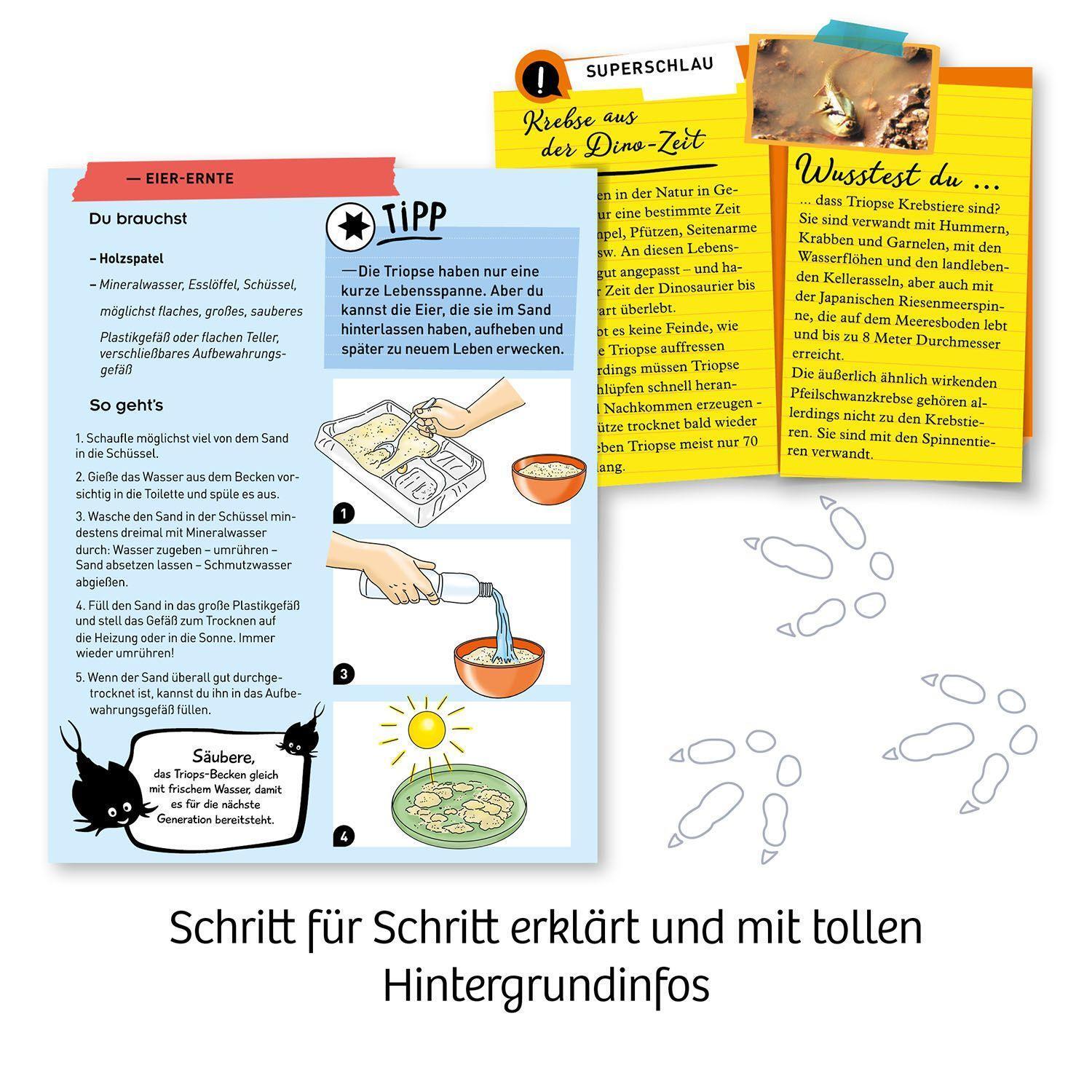 Bild: 4002051637231 | Fun Science Triops züchten | Experimentierkasten | Spiel | 637231